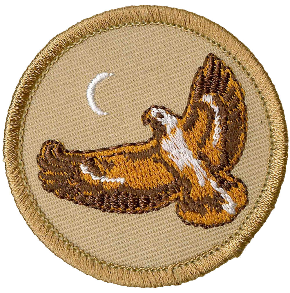 Night Hawk Patrol Patch